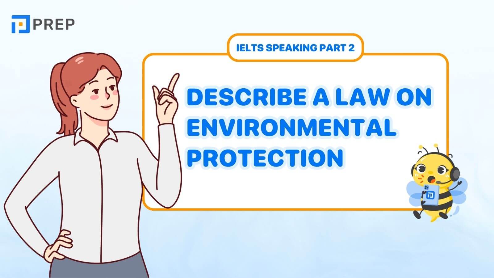 Describe a law on environment protection