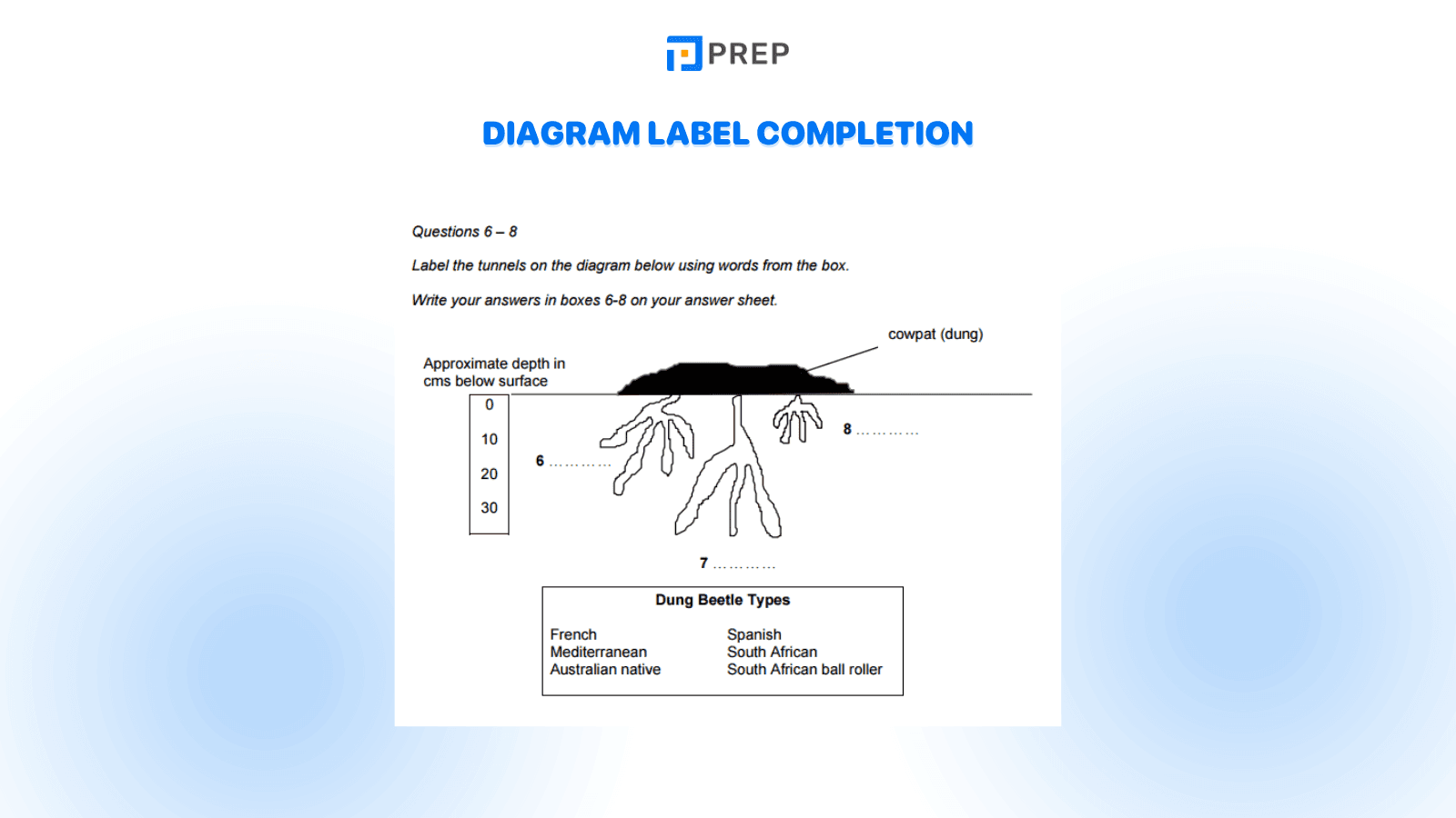 Diagram Label Completion Question - one of the most common IELTS Reading Question Types