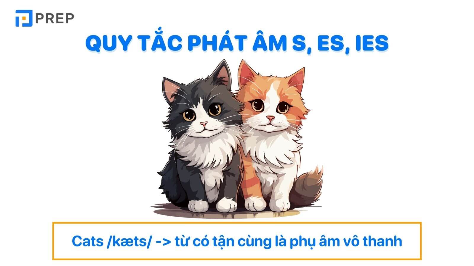 Quy tắc phát âm s, es và cách phát âm S ES IES trong tiếng Anh